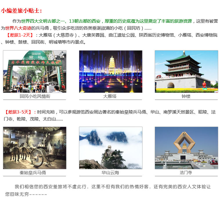 陜西杜仲 陜西杜仲